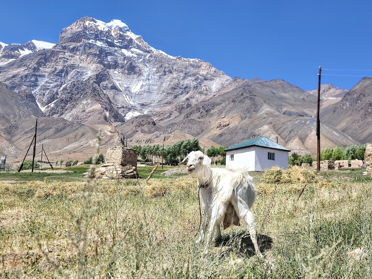 Savnob – Roshorv – Bardara