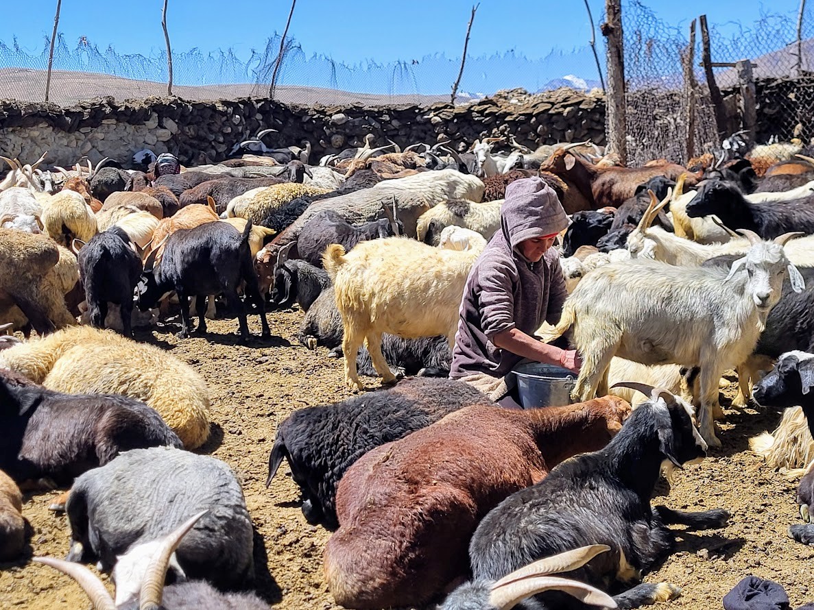 Langar – Khargush Pass – Bulunkul